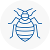 Bed Bug Extermination In Shefford