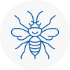 Shefford Hornet Nest Removals