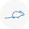Mice Exterminators In Shefford