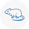 Rat Control Shefford