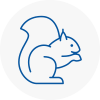 Shefford Rodent Removals