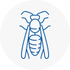 Shefford Wasp Nest Removal